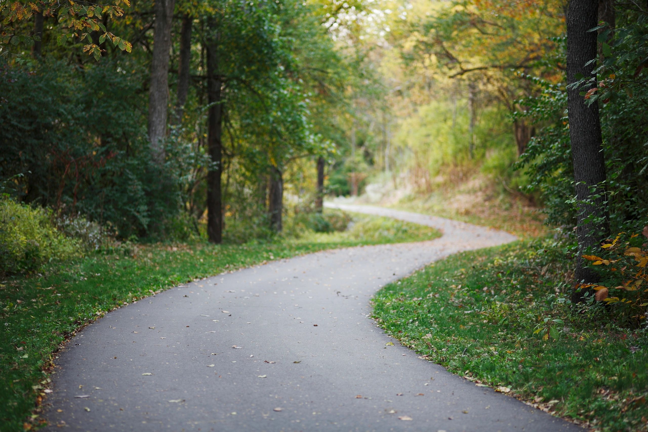 Valley Creek Trail